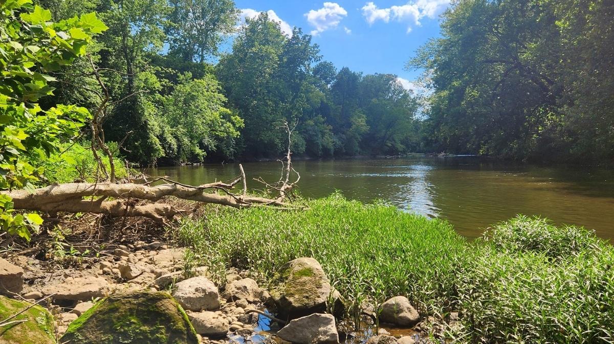 Big Walnut Creek flowing through a wooded area in Lockbourne, Ohio on a summer day