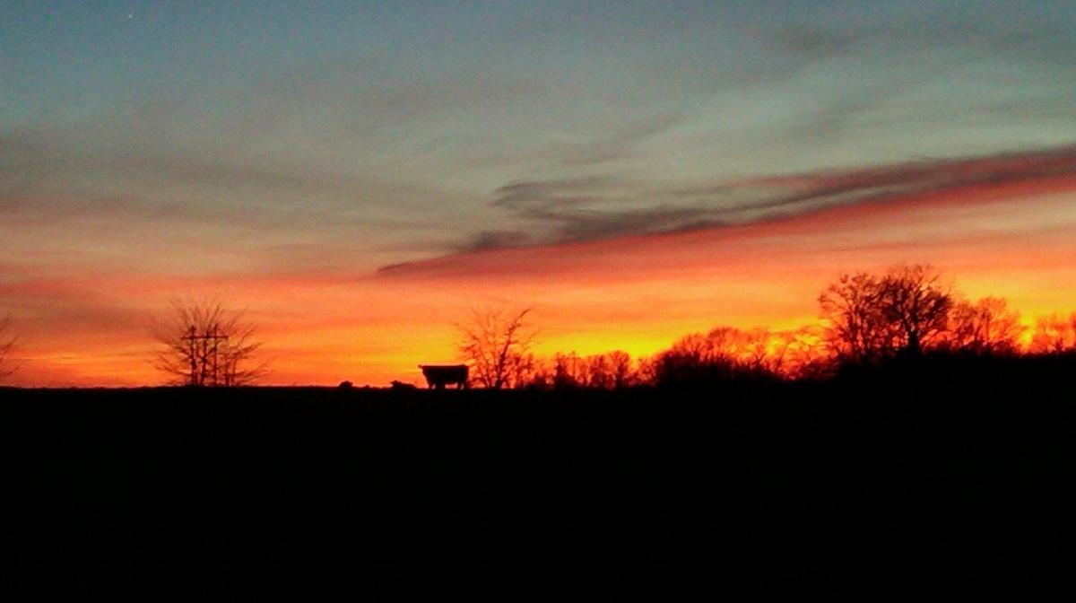 Sunset over open farmland and pasture near Lockbourne, Ohio